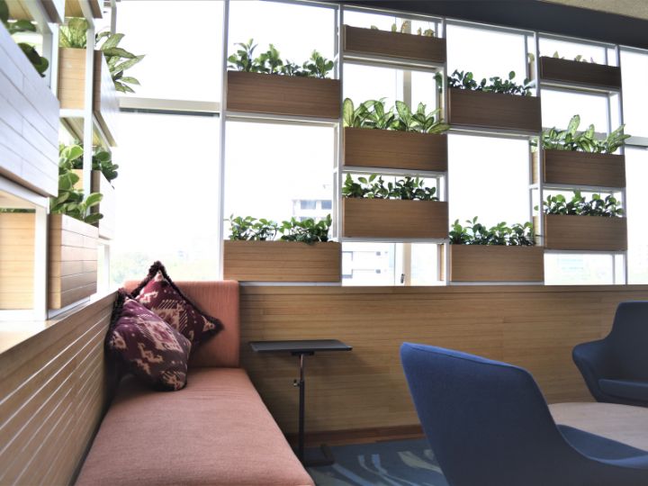 Microsoft Office, Mumbai